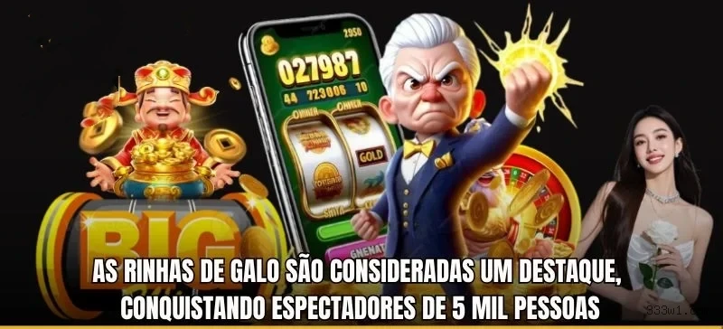Experiência VIP 333W.bet